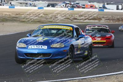 media/Jan-25-2025-CalClub SCCA (Sat) [[03c98a249e]]/Race 4/